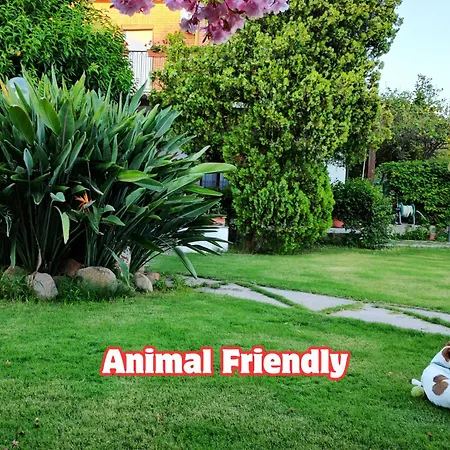 Vila 200m From The Sea, With Garden, Pet Friendly *